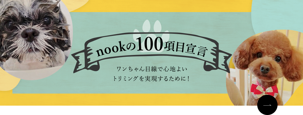 nookの100項目宣言 ワンちゃん目線で心地よいトリミングを実現するために！