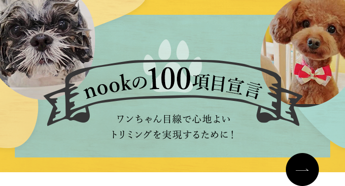 nookの100項目宣言 ワンちゃん目線で心地よいトリミングを実現するために！