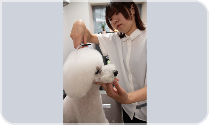 Staff